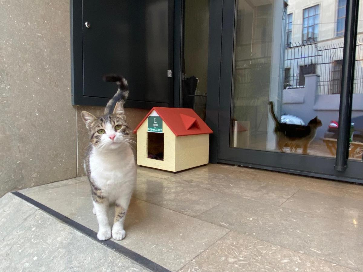 Liberi Taksim 3* Provincia di Istanbul